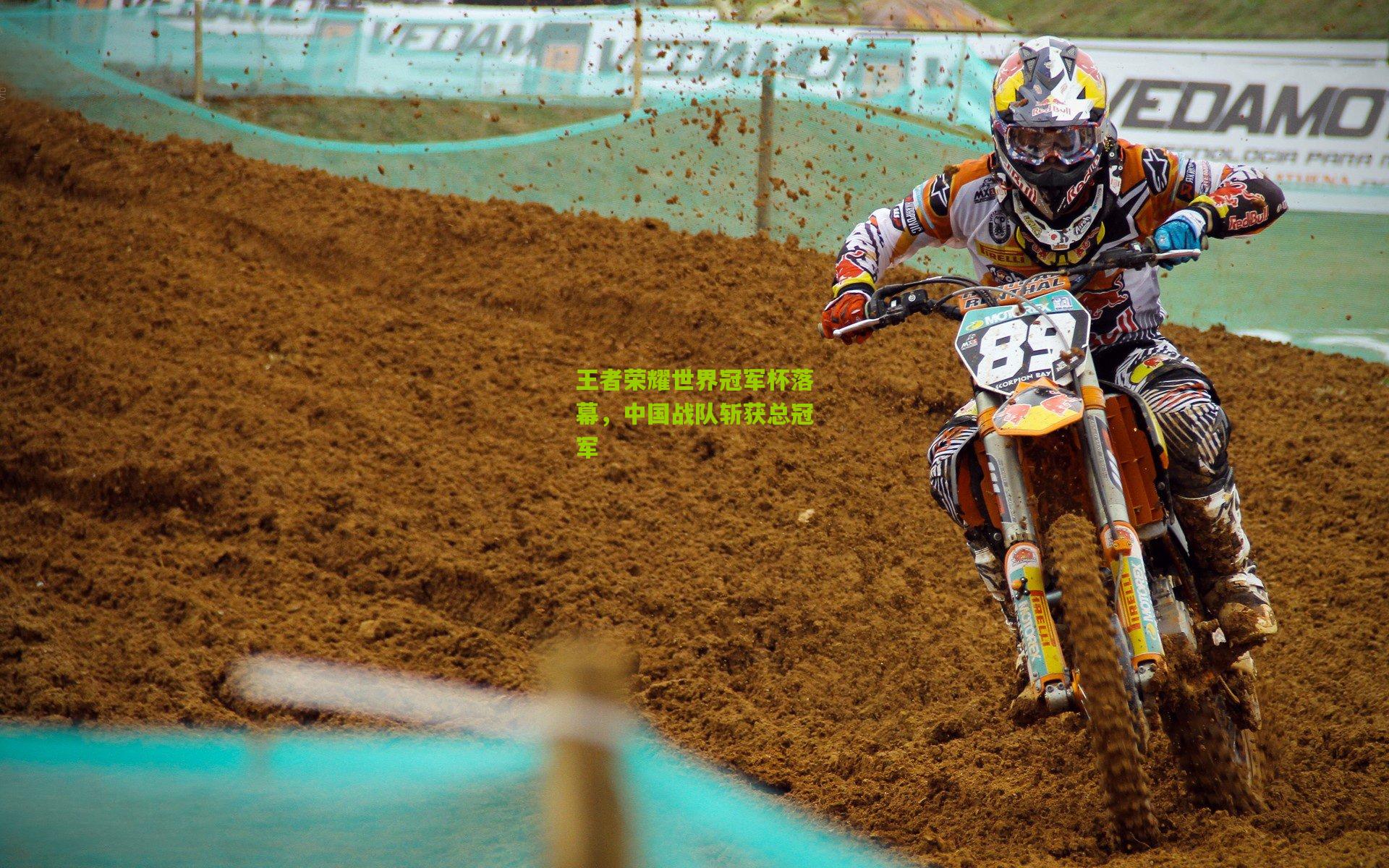 王者荣耀世界冠军杯落幕，中国战队斩获总冠军